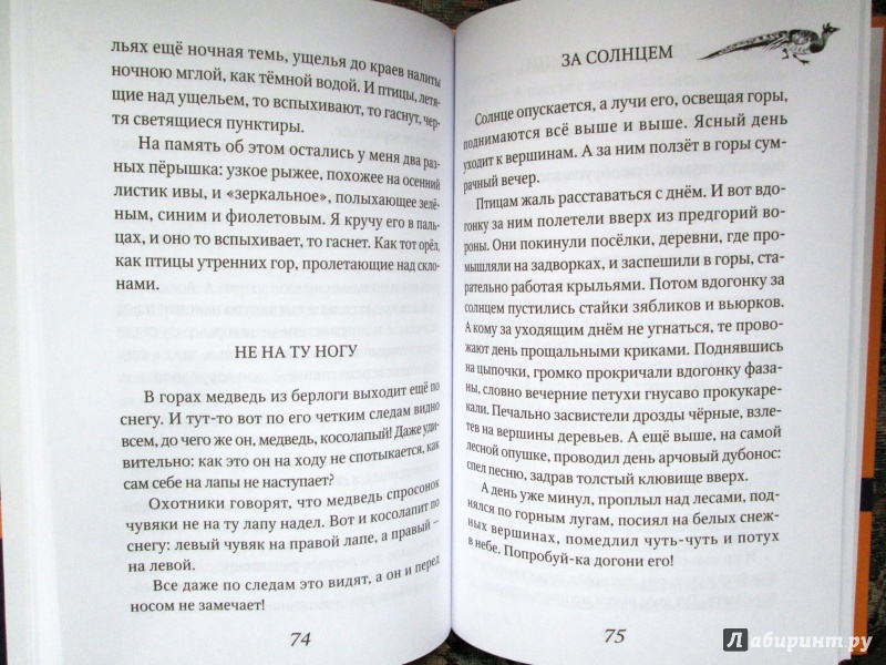 Иллюстрация 7 из 13 для Безымянной тропой - Николай Сладков | Лабиринт - книги. Источник: Зеленая шляпа