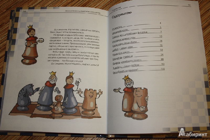 Иллюстрация 15 из 25 для Приключения в шахматном королевстве - Халас, Геци | Лабиринт - книги. Источник: КНИЖНОЕ ДЕТСТВО