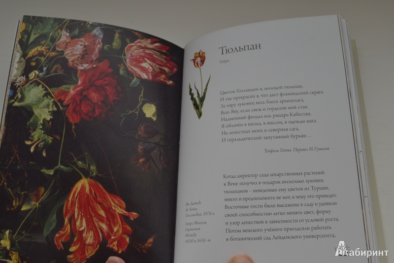Иллюстрация 9 из 58 для Любовь к ботанике | Лабиринт - книги. Источник: Nataushe