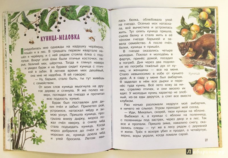 Иллюстрация 8 из 70 для Рассказы о природе - Михаил Пришвин | Лабиринт - книги. Источник: Катерина Громова