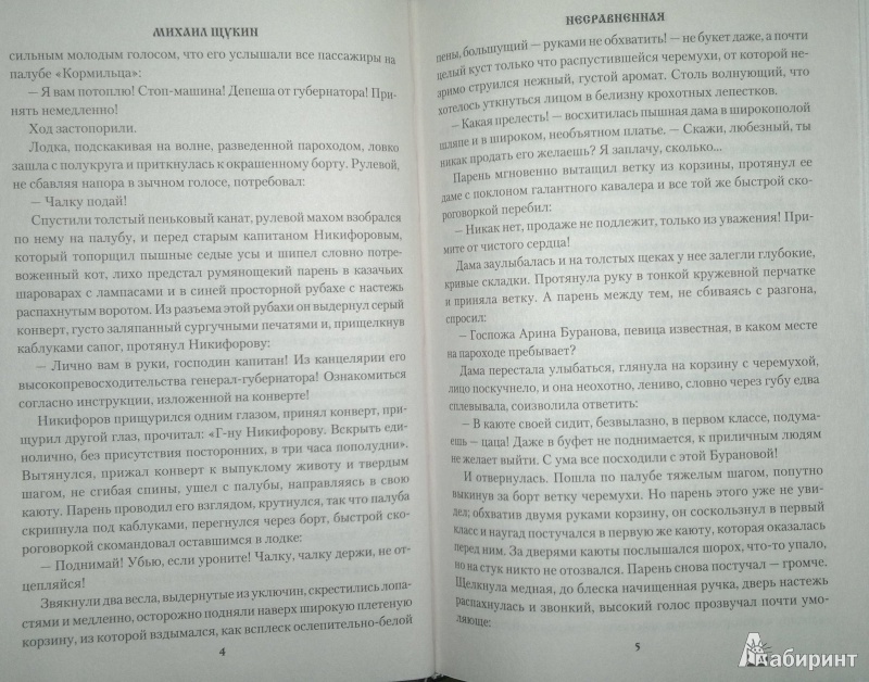 Иллюстрация 6 из 23 для Несравненная - Михаил Щукин | Лабиринт - книги. Источник: Леонид Сергеев