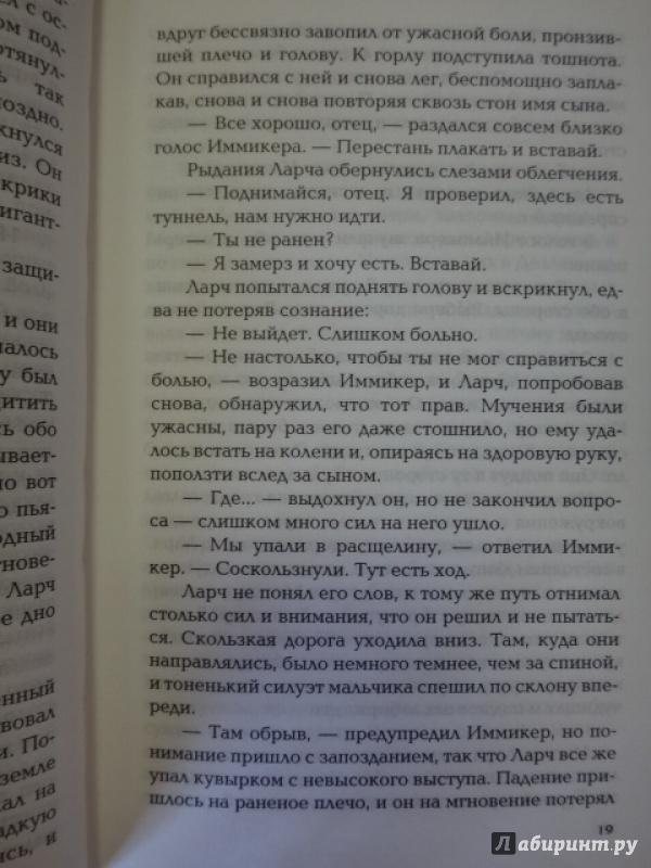 Иллюстрация 21 из 30 для Королевское чудовище - Кристина Кашор | Лабиринт - книги. Источник: Салус