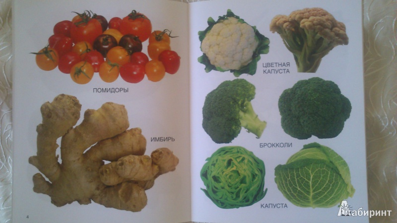 Иллюстрация 3 из 9 для Мои блестящие книжки. Овощи | Лабиринт - книги. Источник: Гришина  Юлия
