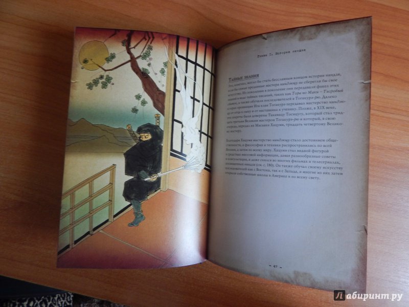 Иллюстрация 35 из 54 для Ниндзя. Воин тени - Джоэль Леви | Лабиринт - книги. Источник: komer45