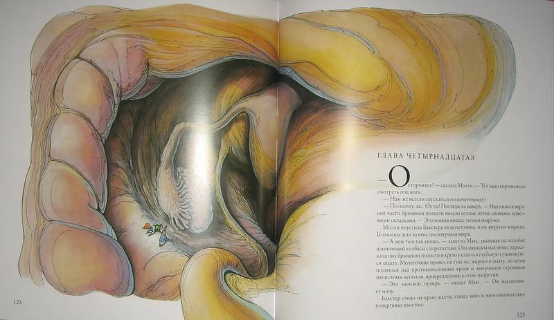Иллюстрация 53 из 60 для Тайны анатомии - Кэрол Доннер | Лабиринт - книги. Источник: Трухина Ирина