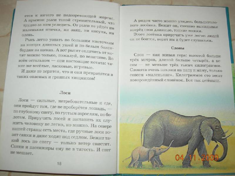 Иллюстрация 7 из 12 для Звери и зверята - Юрий Дмитриев | Лабиринт - книги. Источник: Соловей