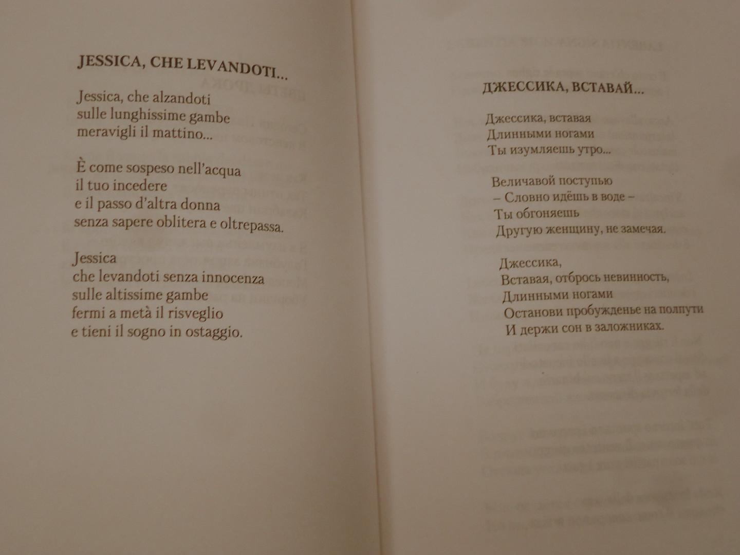 Иллюстрация 41 из 46 для Поэзия=Poesie - Коррадо Калабро | Лабиринт - книги. Источник: Затерянная