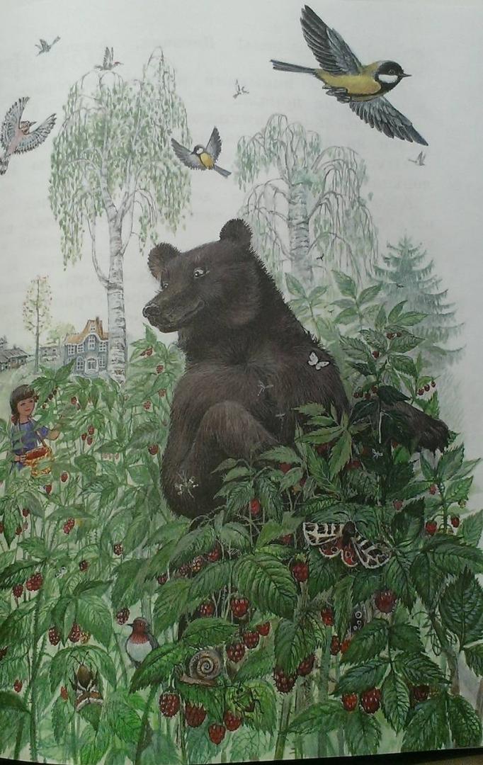 Иллюстрация 30 из 55 для Синичкин календарь - Виталий Бианки | Лабиринт - книги. Источник: Книголюб!