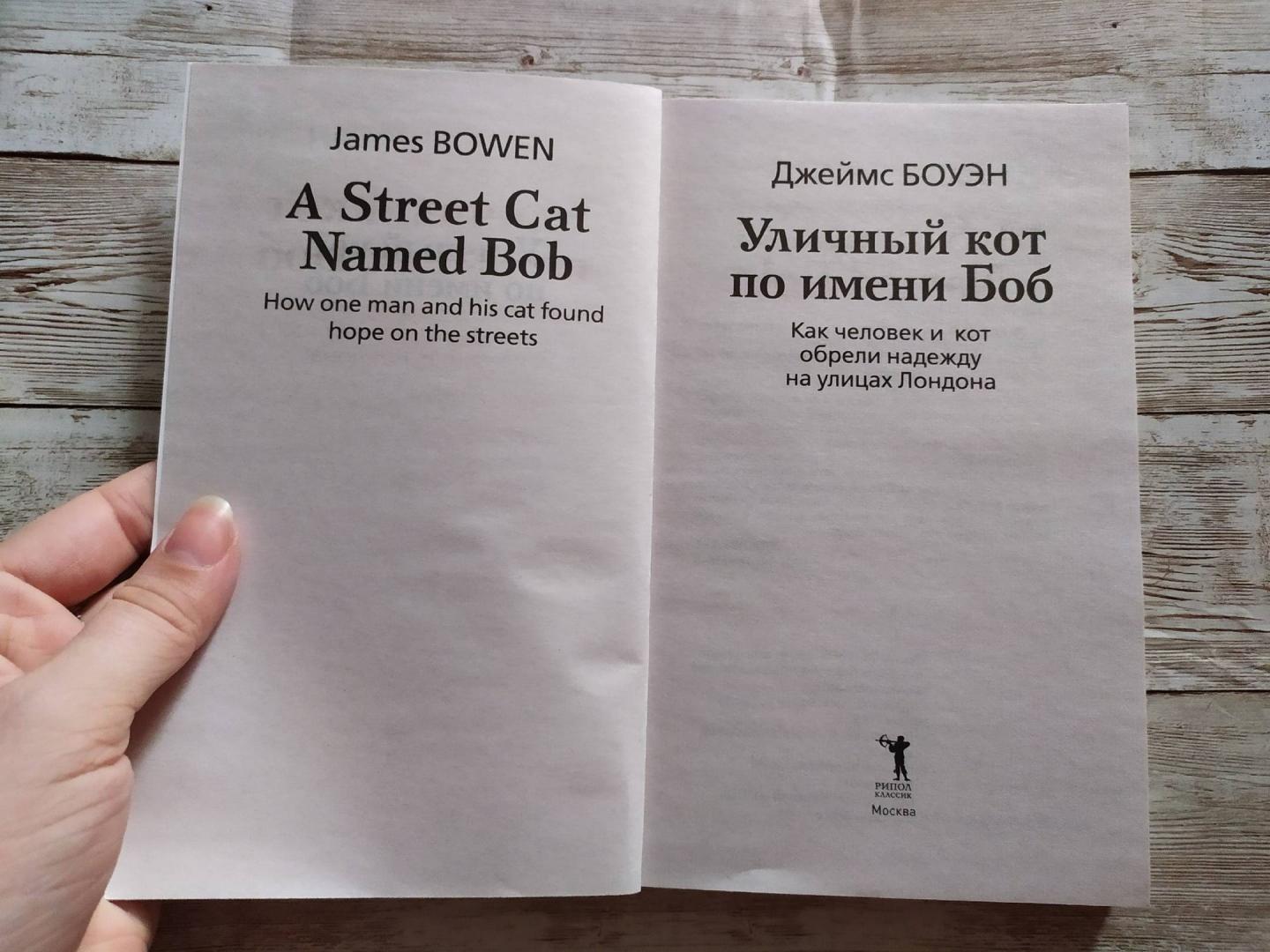 Иллюстрация 11 из 24 для Уличный кот по имени Боб. Как человек и кот обрели надежду на улицах Лондона - Джеймс Боуэн | Лабиринт - книги. Источник: Лабиринт