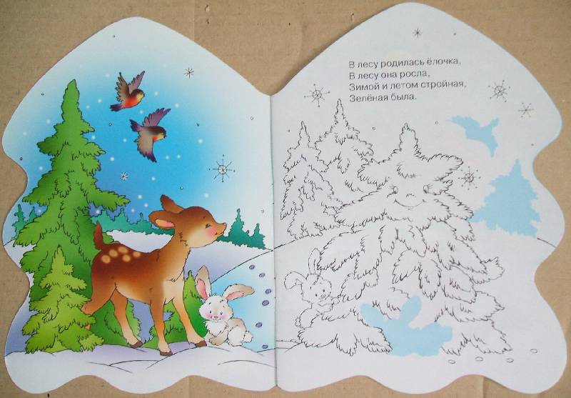 Иллюстрация 1 из 10 для В лесу родилась елочка... - Раиса Кудашева | Лабиринт - книги. Источник: ashatan