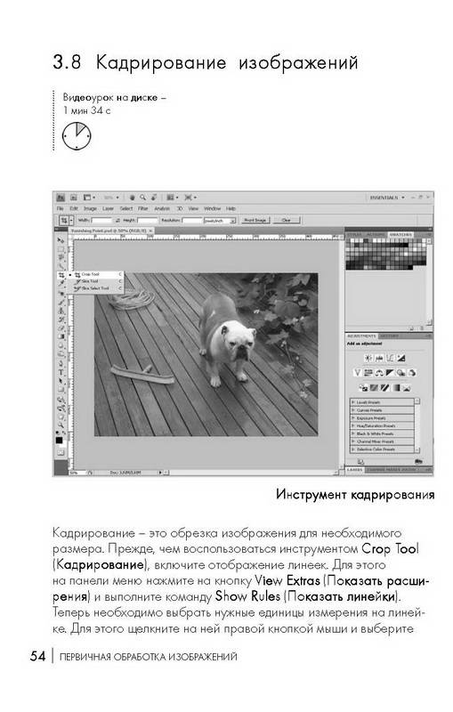Иллюстрация 8 из 8 для Photoshop СS4. Первые шаги в Creative Suite 4 - А.И. Мишенев | Лабиринт - книги. Источник: Ялина