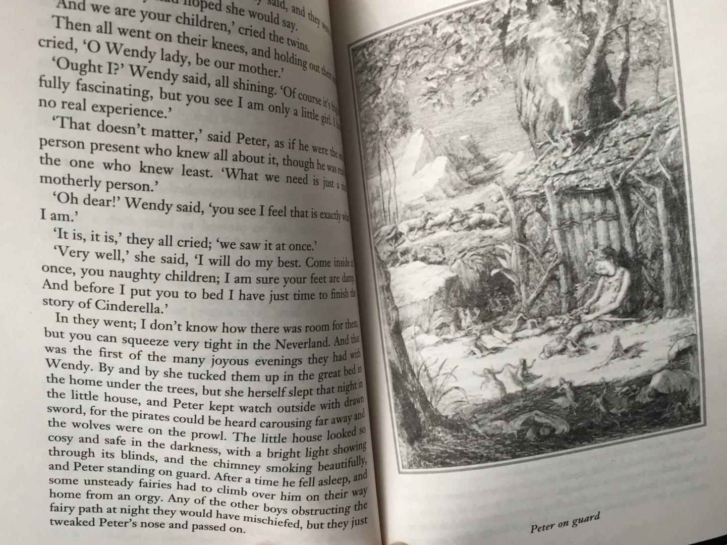 Иллюстрация 29 из 47 для Peter Pan - James Barrie | Лабиринт - книги. Источник: u_p