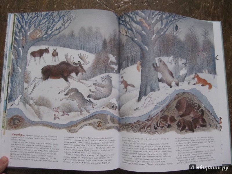 Иллюстрация 64 из 109 для В лесу - Петр Багин | Лабиринт - книги. Источник: Шеин  Андрей