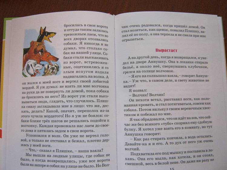 Иллюстрация 12 из 13 для Рассказы о животных - Борис Житков | Лабиринт - книги. Источник: М-и-л-е-н-а