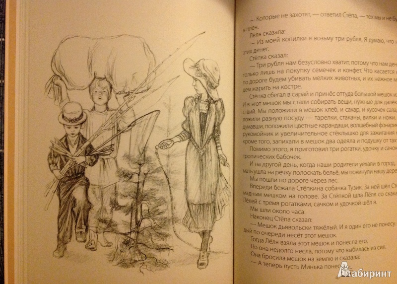 Иллюстрация 18 из 44 для Леля и Минька - Михаил Зощенко | Лабиринт - книги. Источник: ELOIZA