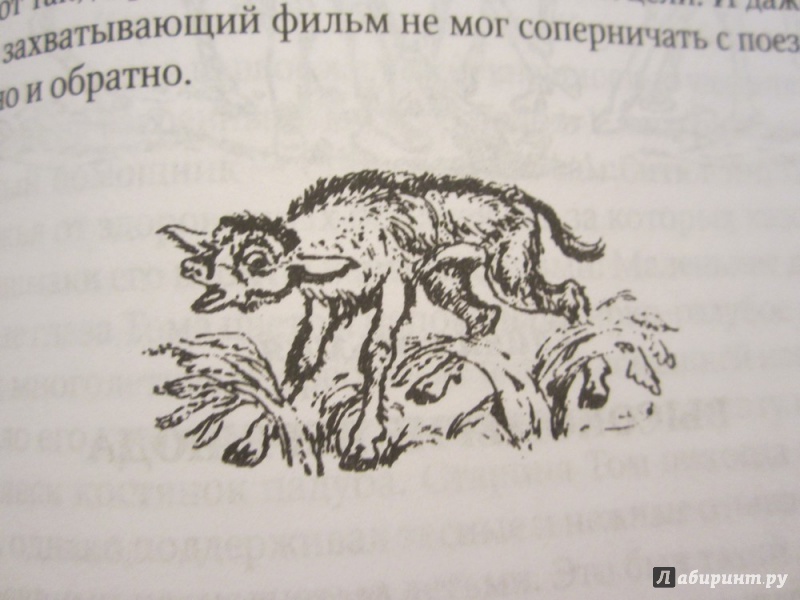 Иллюстрация 8 из 48 для Только звери - Джеральд Даррелл | Лабиринт - книги. Источник: ЮлияО