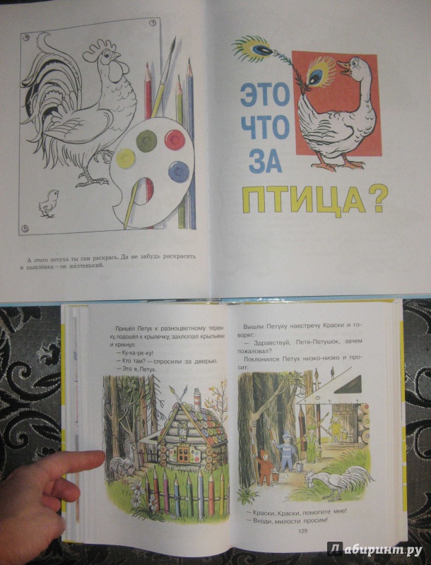 Иллюстрация 67 из 149 для Все сказки и картинки - Владимир Сутеев | Лабиринт - книги. Источник: ЛуноМышь