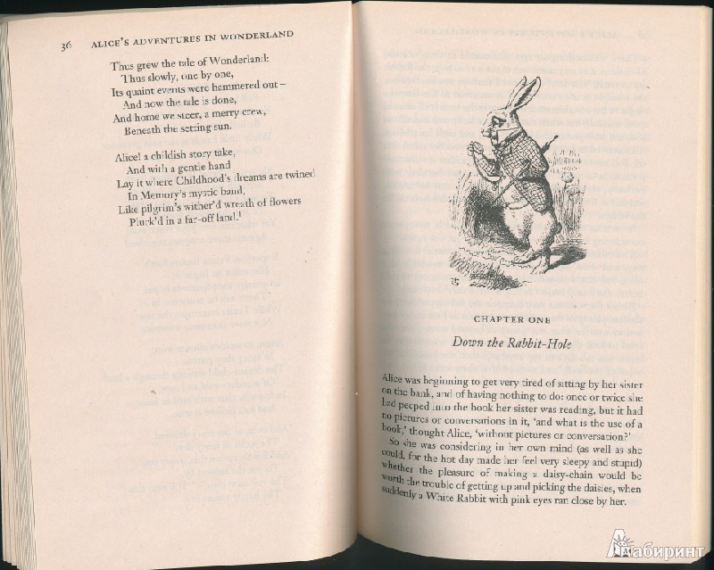 Иллюстрация 30 из 36 для Alices Adventures in Wonderland & Through the Looking-Glass - Lewis Carroll | Лабиринт - книги. Источник: Rishka Amiss
