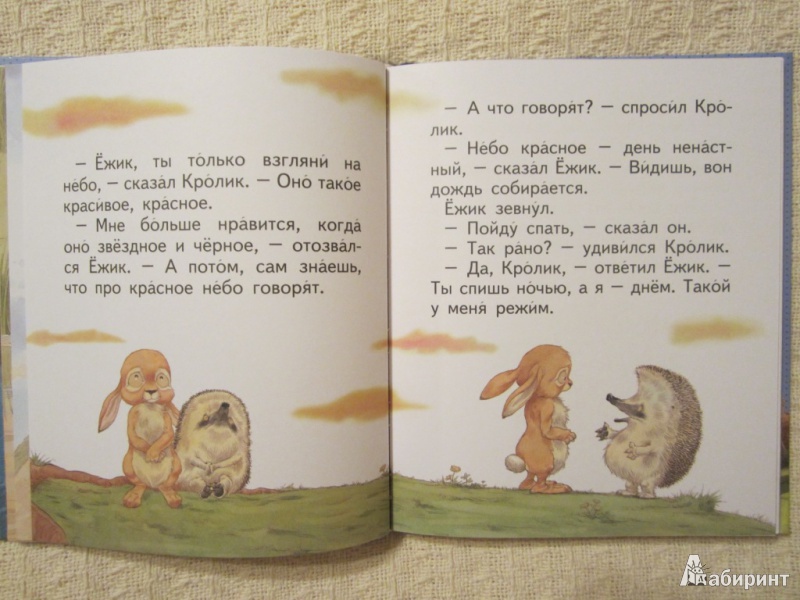 Иллюстрация 21 из 55 для Сказки о Ёжике и Кролике - Пол Стюарт | Лабиринт - книги. Источник: ЮлияО