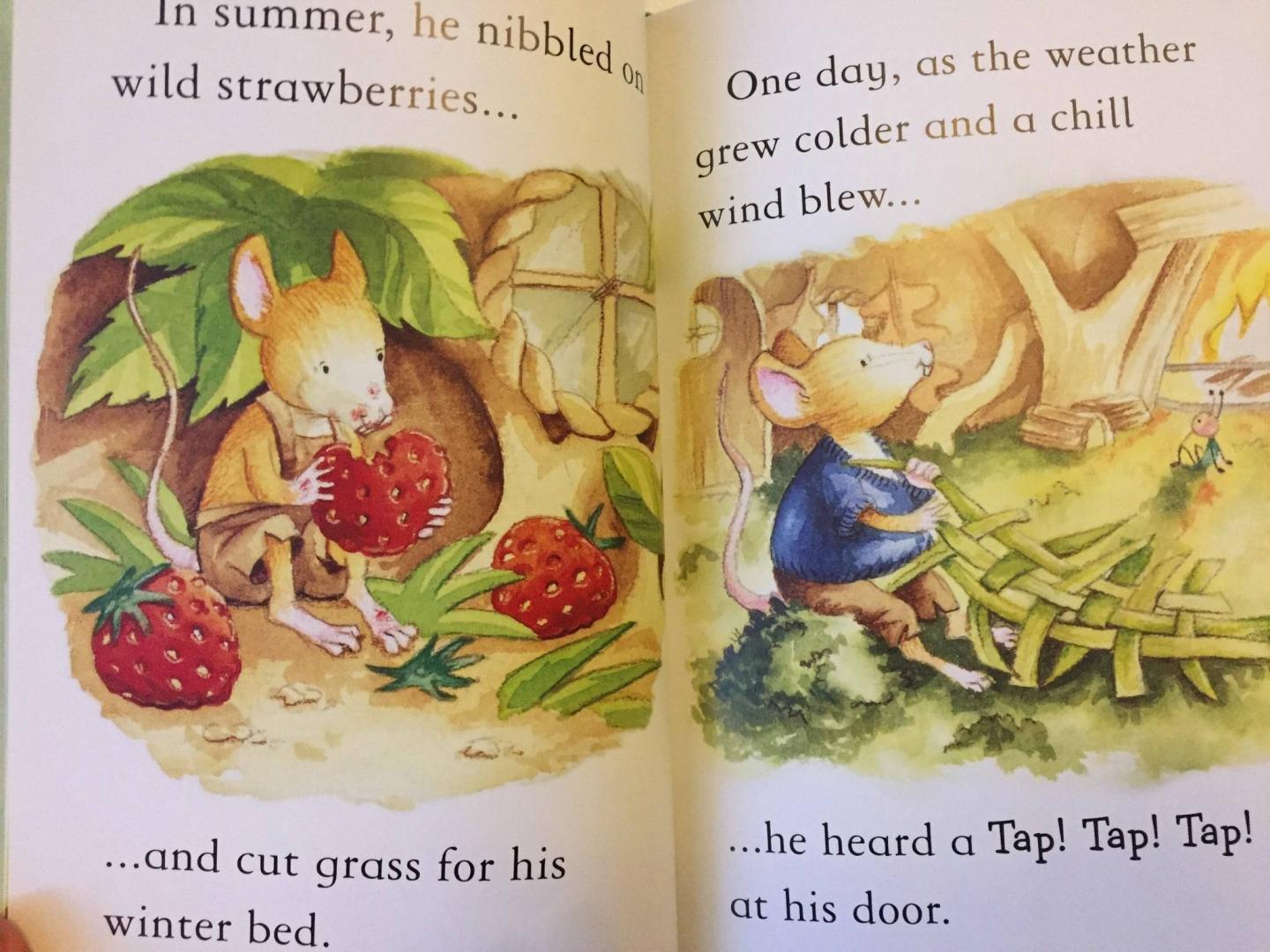 Иллюстрация 15 из 25 для The Town Mouse and The Country Mouse - Susanna Davidson | Лабиринт - книги. Источник: u.p