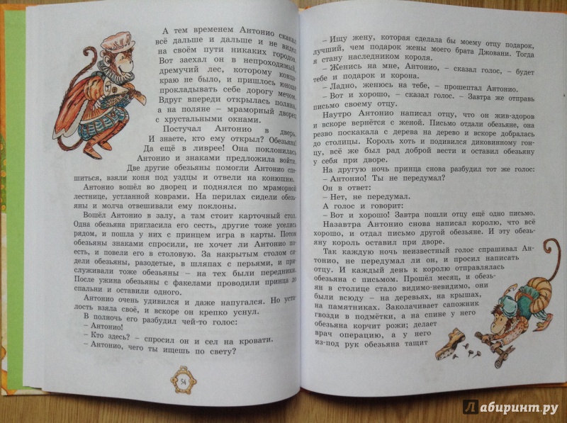 Иллюстрация 19 из 43 для Принцесса из Апельсина | Лабиринт - книги. Источник: Умная Дуня