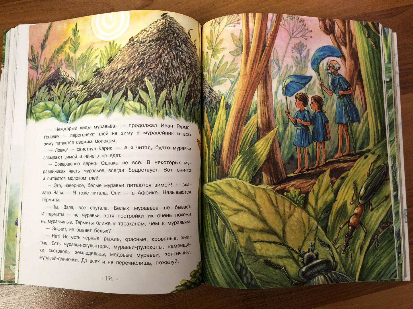 Иллюстрация 69 из 95 для Необыкновенные приключения Карика и Вали - Ян Ларри | Лабиринт - книги. Источник: ДинаЛана