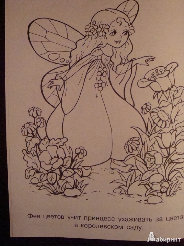 Иллюстрация 4 из 16 для Раскраска "Феи и принцессы" | Лабиринт - книги. Источник: Иринич  Лариса Павловна