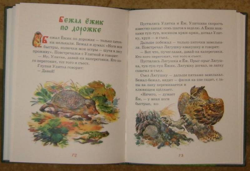 Иллюстрация 14 из 38 для Русские сказки о природе - Николай Сладков | Лабиринт - книги. Источник: акка