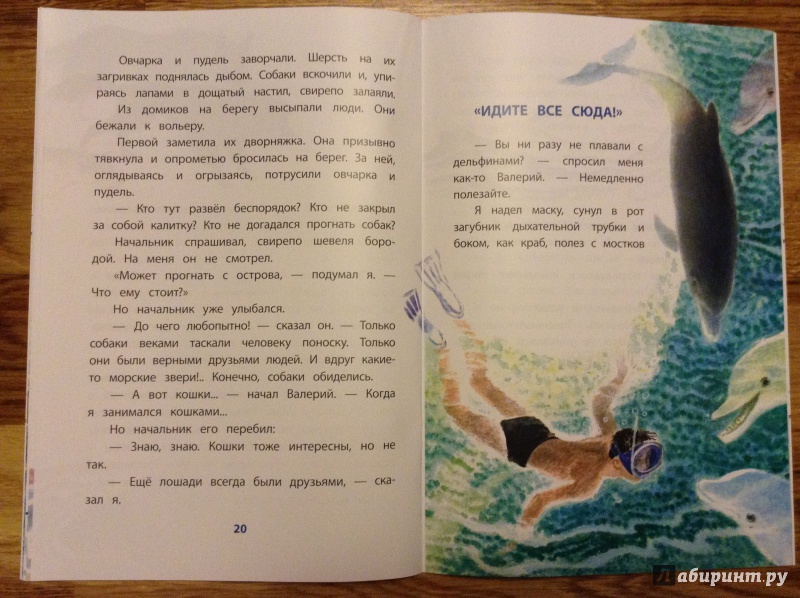 Иллюстрация 10 из 32 для Дельфиний остров - Святослав Сахарнов | Лабиринт - книги. Источник: Ирина  Ирина