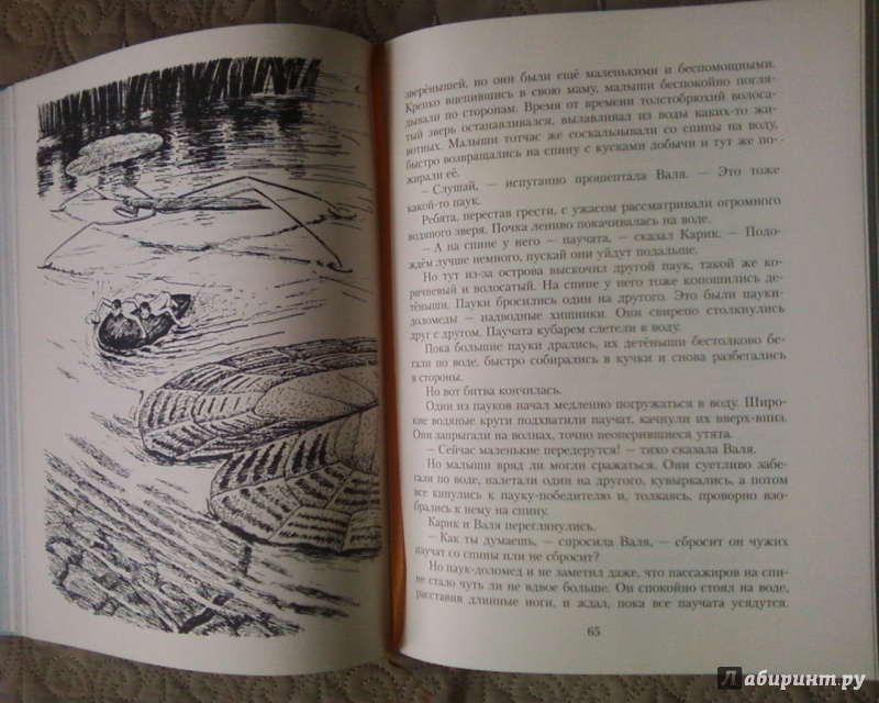 Иллюстрация 8 из 101 для Необыкновенные приключения Карика и Вали - Ян Ларри | Лабиринт - книги. Источник: Родионова  Надежда