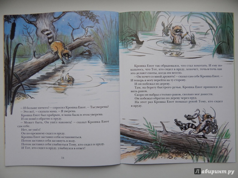 Иллюстрация 38 из 97 для Крошка Енот и тот, кто сидит в пруду - Лилиан Муур | Лабиринт - книги. Источник: Мелкова  Оксана