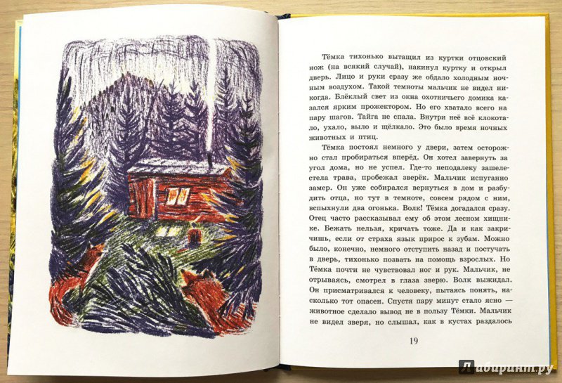 Иллюстрация 24 из 29 для Сын тайги - Наталья Шицкая | Лабиринт - книги. Источник: Книжный шкаф детям