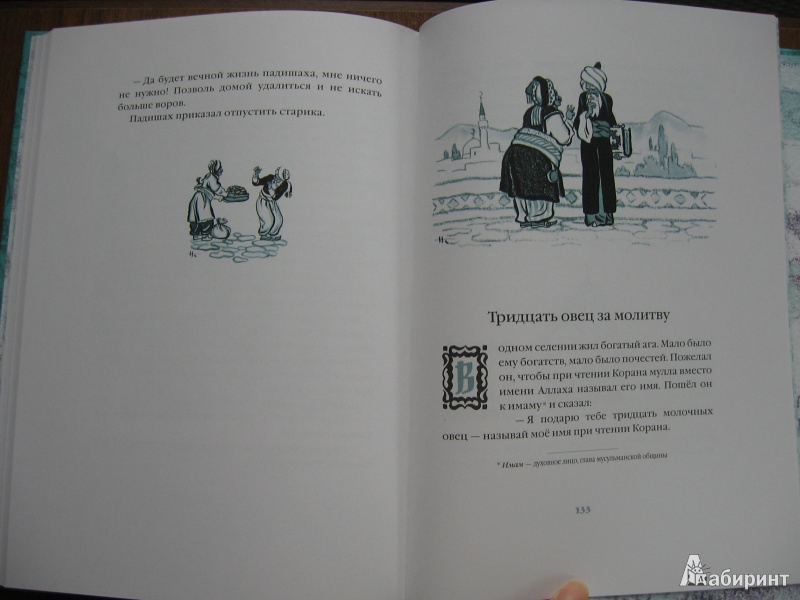 Иллюстрация 34 из 66 для Лев и мышь. Курдские сказки | Лабиринт - книги. Источник: Баскова  Юлия Сергеевна