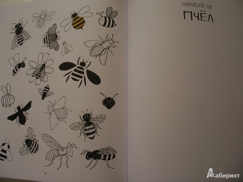 Иллюстрация 19 из 42 для 20 способов нарисовать дерево и другие 44 чуда природы - Элоиз Ренуф | Лабиринт - книги. Источник: Tiger.