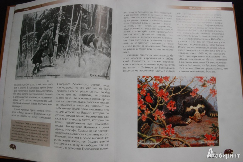Иллюстрация 3 из 43 для Охота на медведя - Олег Малов | Лабиринт - книги. Источник: bailadora
