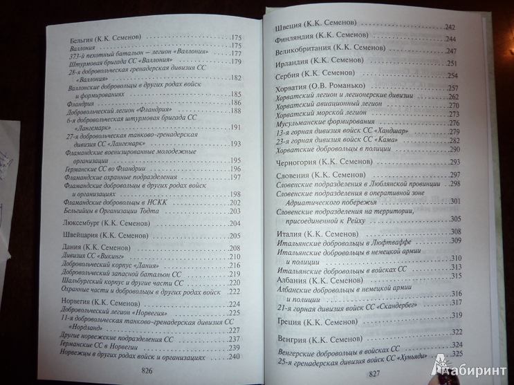 Иллюстрация 9 из 41 для Иностранные формирования Третьего рейха - Дробязко, Романько, Семенов | Лабиринт - книги. Источник: bluedream