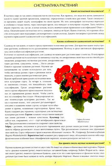 Иллюстрация 6 из 6 для Все о комнатных растениях в вопросах и ответах - Ван, Неер | Лабиринт - книги. Источник: Золотая рыбка
