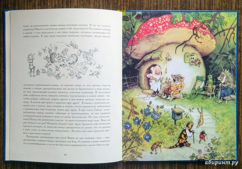 Иллюстрация 76 из 78 для В стране гномов - Эрих Хайнеманн | Лабиринт - книги. Источник: Natalie Leigh