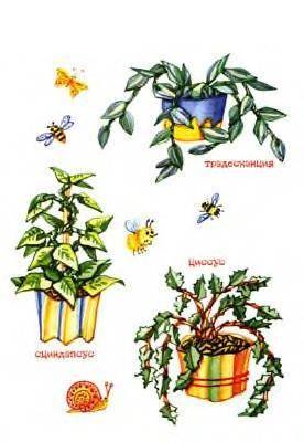 Иллюстрация 1 из 8 для Бумажный кактус - Татьяна Рогаткина | Лабиринт - книги. Источник: Пчёлка Майя