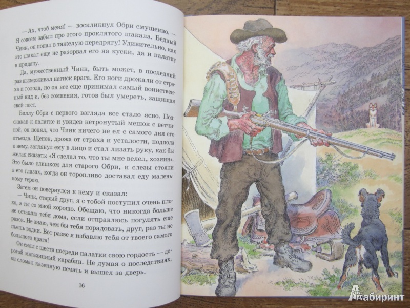 Иллюстрация 40 из 45 для Медвежонок Джонни - Эрнест Сетон-Томпсон | Лабиринт - книги. Источник: ЮлияО