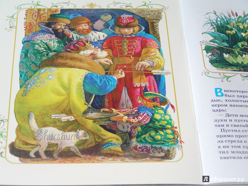 Иллюстрация 12 из 28 для Царевна-лягушка | Лабиринт - книги. Источник: Shurshun