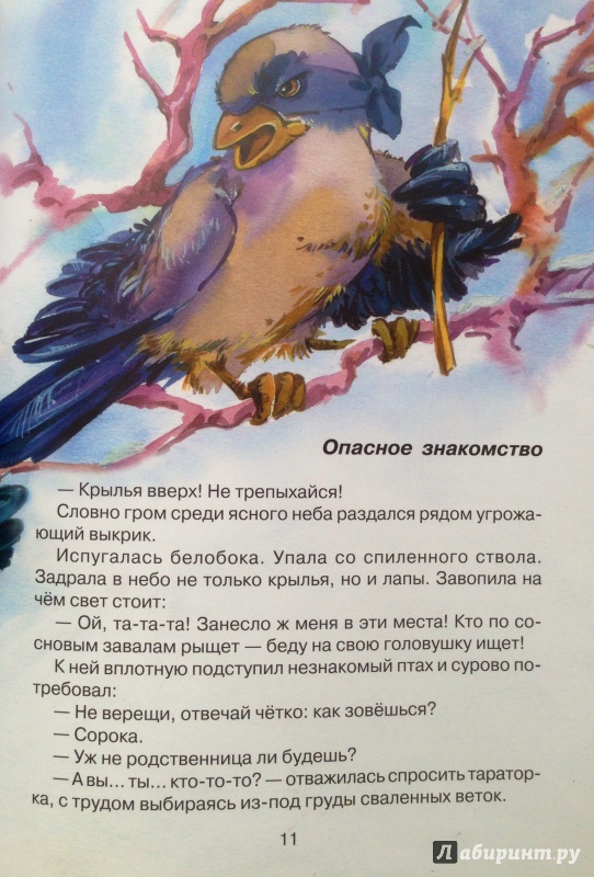 Иллюстрация 6 из 26 для Удачная находка Сороки-белобоки - Светлана Ананич | Лабиринт - книги. Источник: Xikary