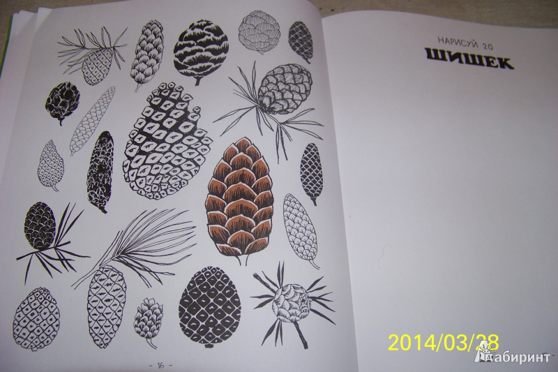 Иллюстрация 22 из 42 для 20 способов нарисовать дерево и другие 44 чуда природы - Элоиз Ренуф | Лабиринт - книги. Источник: G