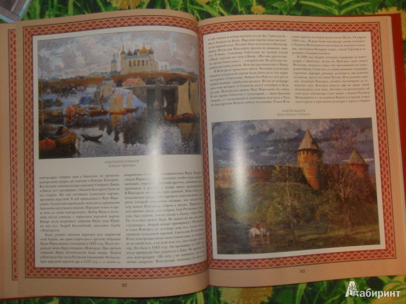 Иллюстрация 7 из 31 для Озерная, или Новгородская, область | Лабиринт - книги. Источник: knigolyub