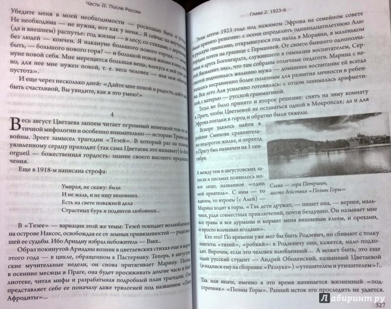 Иллюстрация 62 из 65 для Марина Цветаева: беззаконная комета - Ирма Кудрова | Лабиринт - книги. Источник: Natali*