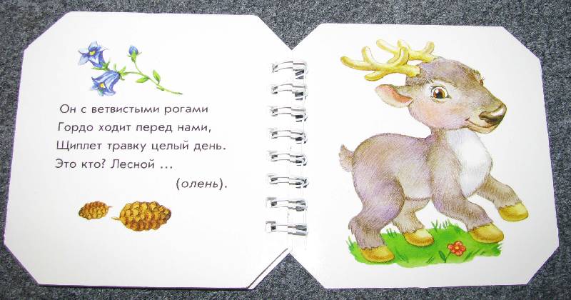 Иллюстрация 11 из 13 для Кто в лесу живет - А. Геращенко | Лабиринт - книги. Источник: Апельсинка