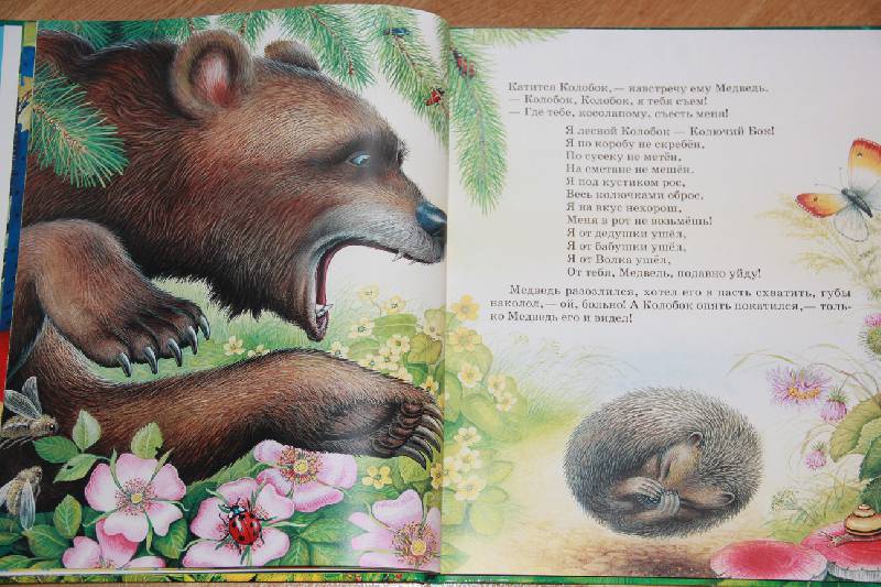 Иллюстрация 25 из 35 для Сказки о животных - Виталий Бианки | Лабиринт - книги. Источник: Vilvarin  Laurea
