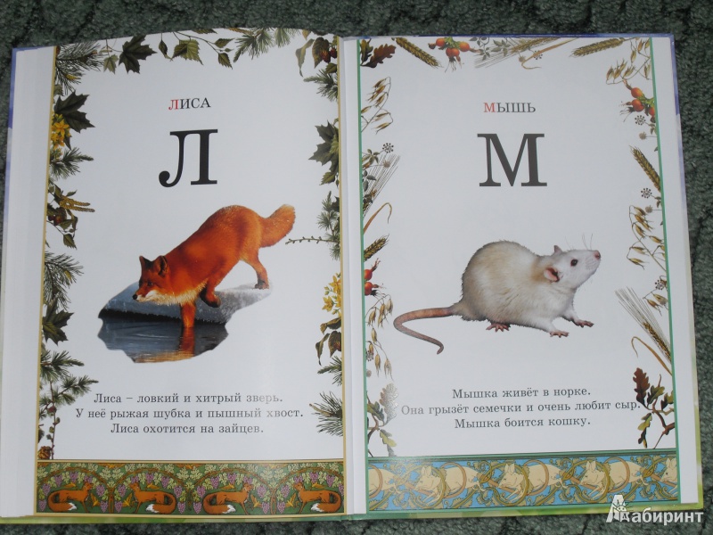 Иллюстрация 11 из 34 для Иллюстрированная азбука животного мира | Лабиринт - книги. Источник: zhukova_vika