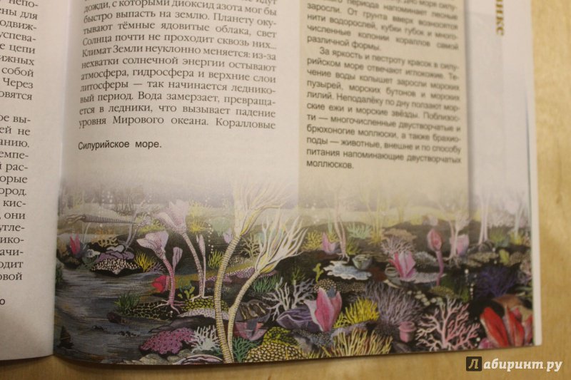 Иллюстрация 23 из 31 для Зарождение жизни - Руслан Габдуллин | Лабиринт - книги. Источник: . NastasiaBu