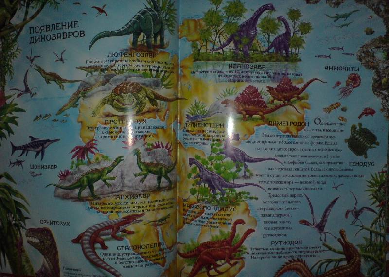 Иллюстрация 5 из 12 для Атлас динозавров и тех, кто пришел вслед за ними | Лабиринт - книги. Источник: Настёна